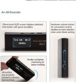 DAC/AMP CAYIN RU7 - Ảnh 3