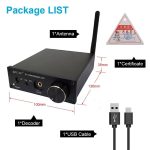Desktop DAC/AMP AKLIAM D1 - Ảnh 2
