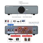 Desktop Speaker AMP AIYIMA A07 MAX TPA3255 - Ảnh 2