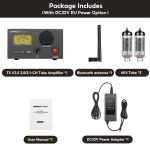 Desktop Bluetooth DAC/AMP AIYIMA T5 V2 - Ảnh 2