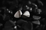 Tai Nghe In Ear MOONDROP KADENZ - Ảnh 5