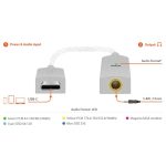 Dongle DAC IFI GO LINK - Ảnh 3