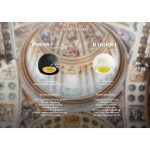 Eartip ELETECH BAROQUE STAGE - Ảnh 3