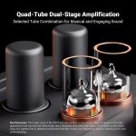 Desktop AMP Kiêm Preamp Fosi GR70 - Ảnh 3