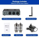 Desktop Bluetooth Tube PREAMP AIYIMA T1 PRO - Ảnh 2