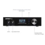 Desktop Bluetooth AMP AIYIMA D03 - Ảnh 2