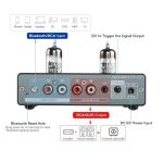 Desktop Bluetooth Tube PREAMP AIYIMA T1 PRO - Ảnh 4
