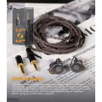 Tai Nghe ROSESELSA CJ20 In Ear - Ảnh 4