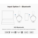 Tai Nghe Bluetooth Hifiman HE-R9 Wireless Chụp Tai - Ảnh 5