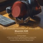 Tai Nghe Bluetooth Hifiman HE-R9 Wireless Chụp Tai - Ảnh 2