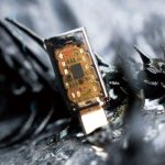 Dongle DAC HE ZHANG BA SHE MAO | Cáp chuyển đổi âm thanh | Dongle - Ảnh 4